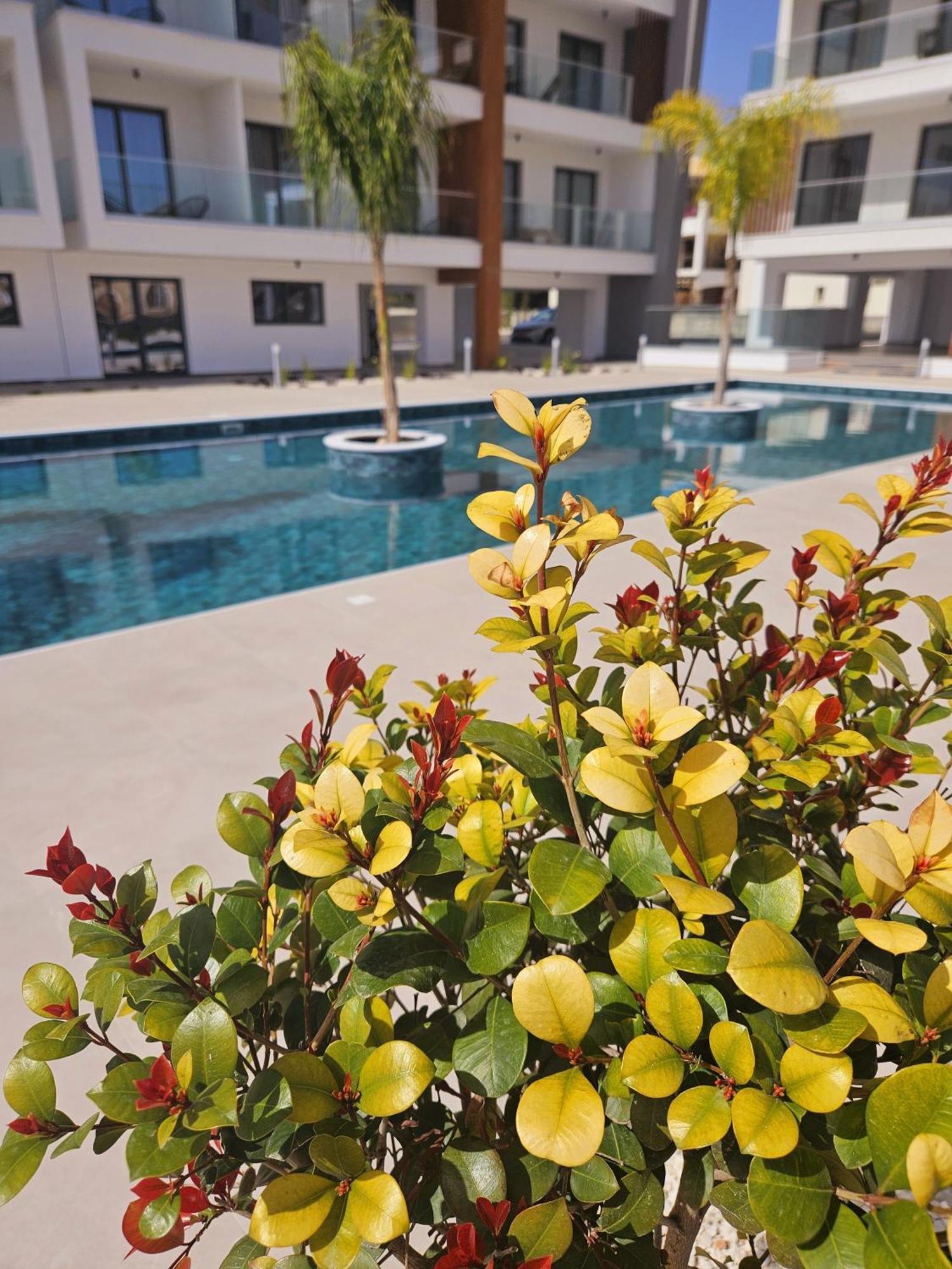 One Bedroom Apartment, Universal Residences * Paphos